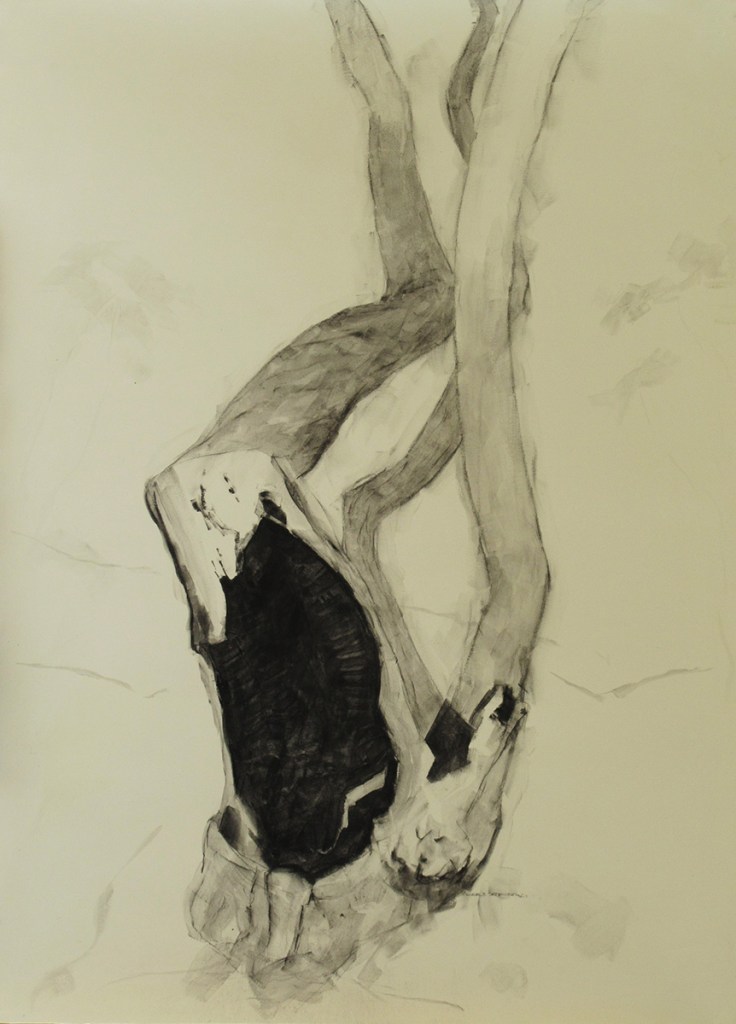Portrait III, 2012, charcoal and acrylic on paper, 75 x 55 cm