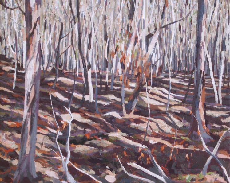After Burning Off, Morning Light, 2007, oil on linen, 61 x 82 cm