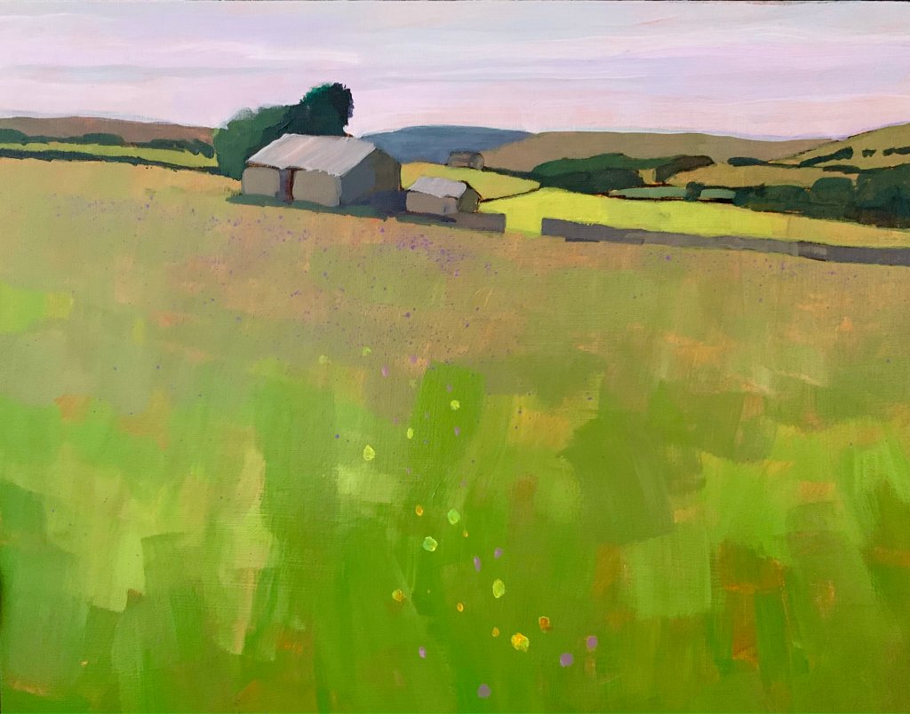 Yorkshire Dales Meadow