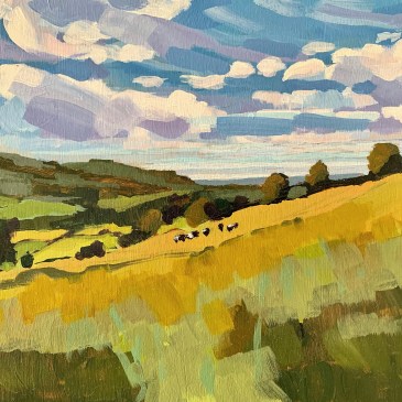 Whitby to Glaisdale. Cows in a yellow field under a blue sky