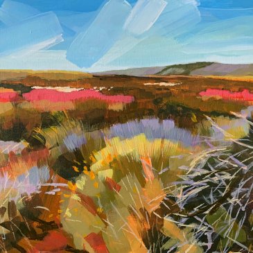 North York Moors in full bloom