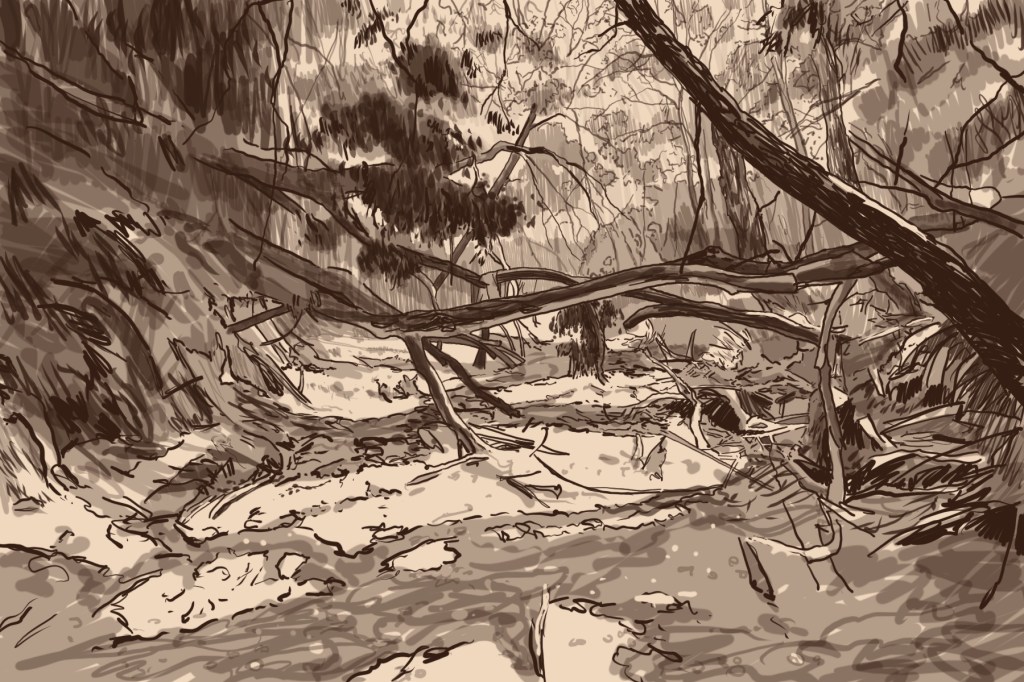 monochrome drawing of a dry creek with rocks in the foreground and trees in the background.
