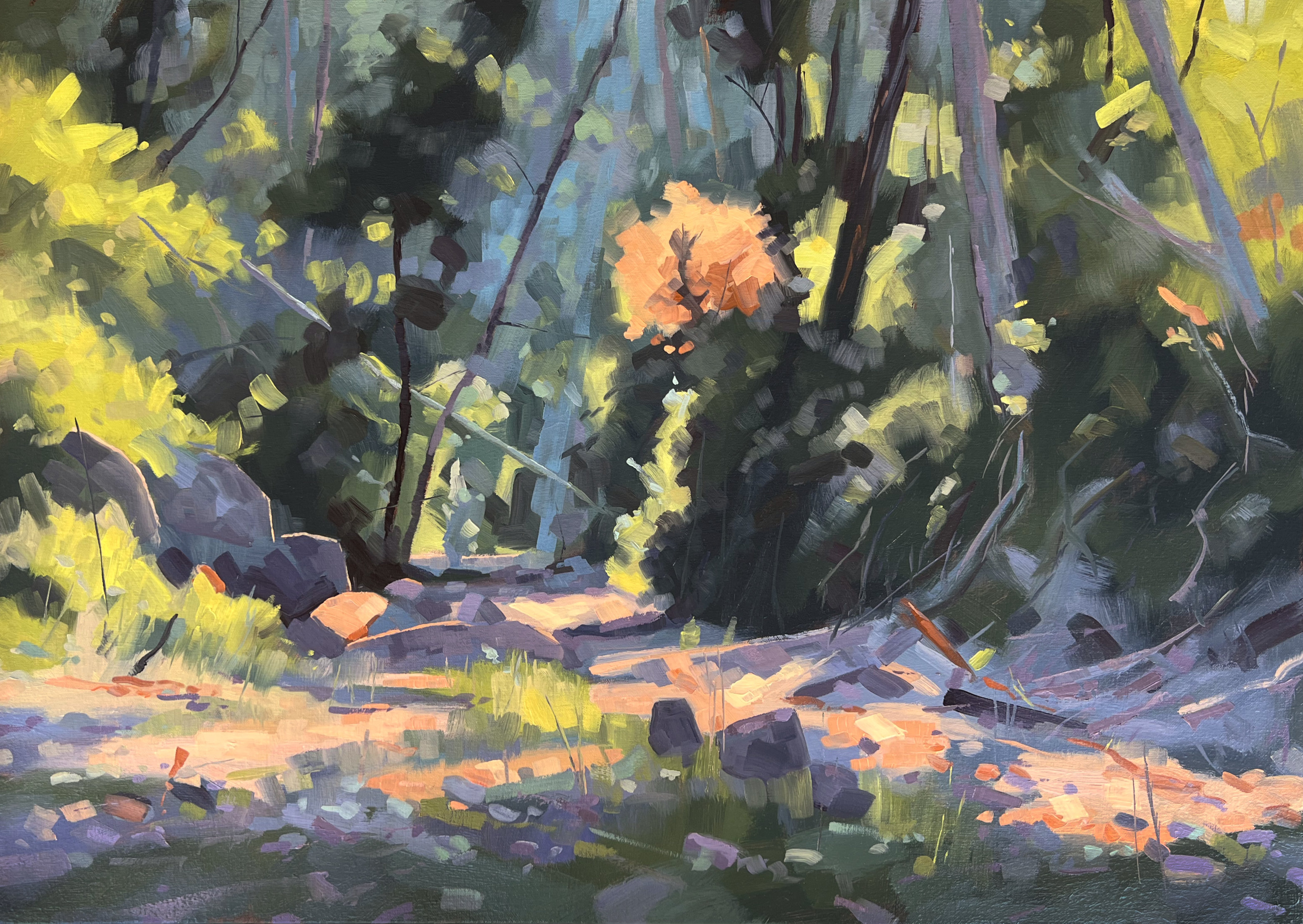 Summer Creek 11, 2025, oil on canvas, 50 x 70 cm, $2475 framed