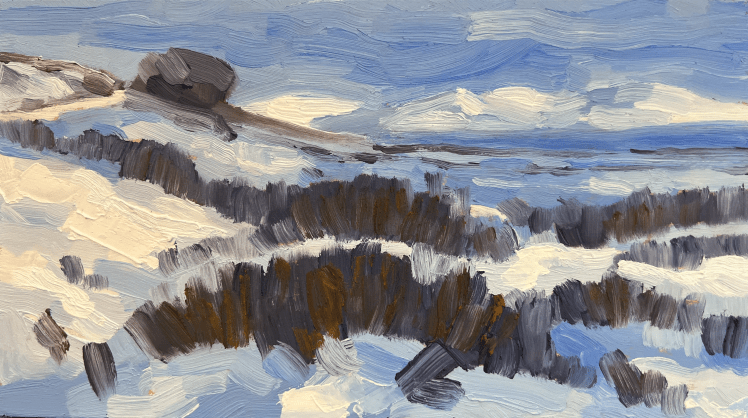 Rannoch 3, oil on board, 13 x 23 cm, NFS