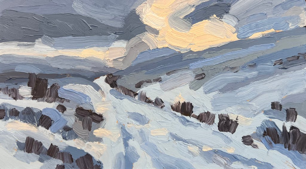 Rannoch 4, oil on board, 13 x 23 cm, $375